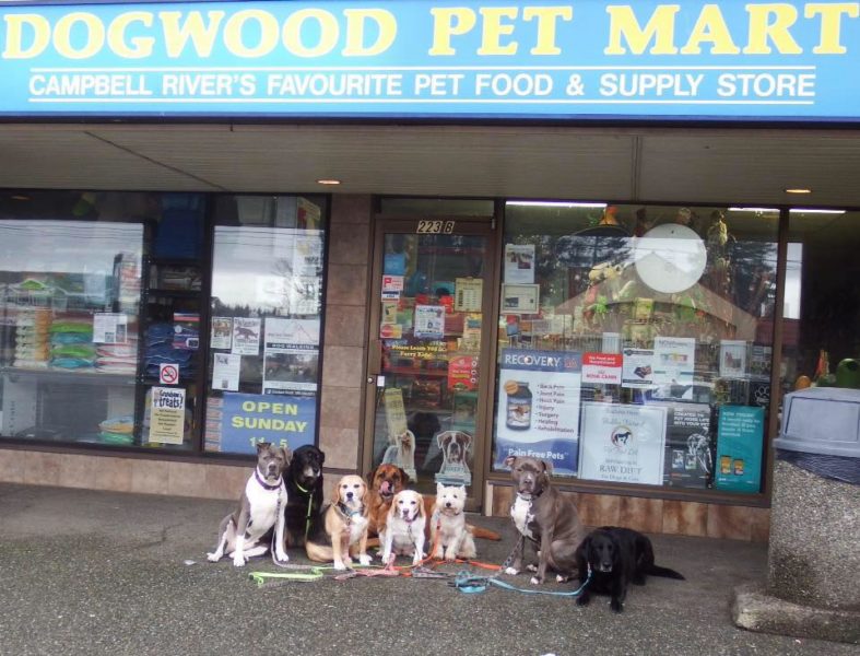 Dogwood Pet Mart – Pet Supplies, Campbell River, BC