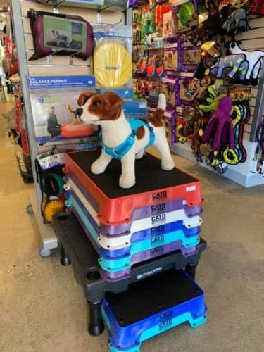A stuffed dog in front of products in a pet store