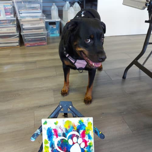 A dog standing over a piece of artwork