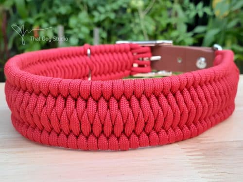 A red weaved dog collar