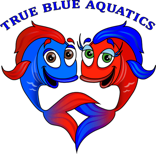 True blue aquatics and pet supplies logo