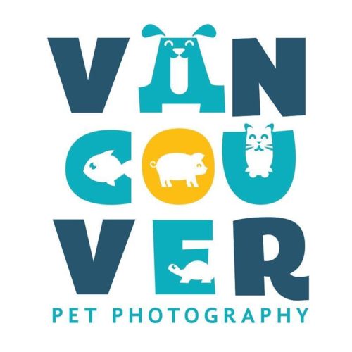 Vancouver pet photography