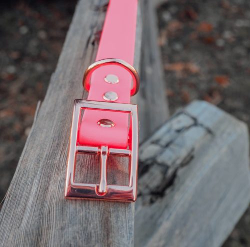 A pink dog leash on a weathered wood plank
