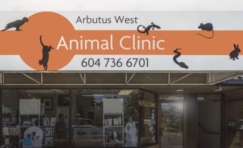 Arbutus west animal clinic - storefront