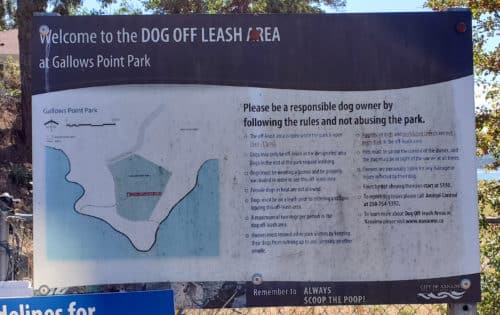 Gallows point off leash dog park4