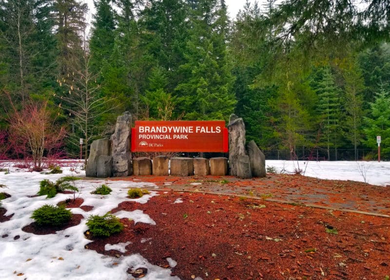Brandywine Falls (on-leash) Provincial Park, Whistler, BC