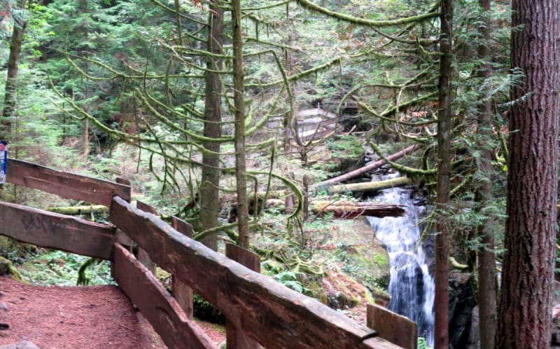 Cypress Falls Park (Off-Leash Trails), West Vancouver, BC