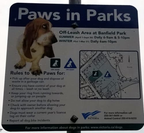 Banfield park off leash dog park victoria bc 1