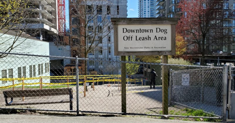 Downtown Dog (off-leash) Park, New Westminster, BC