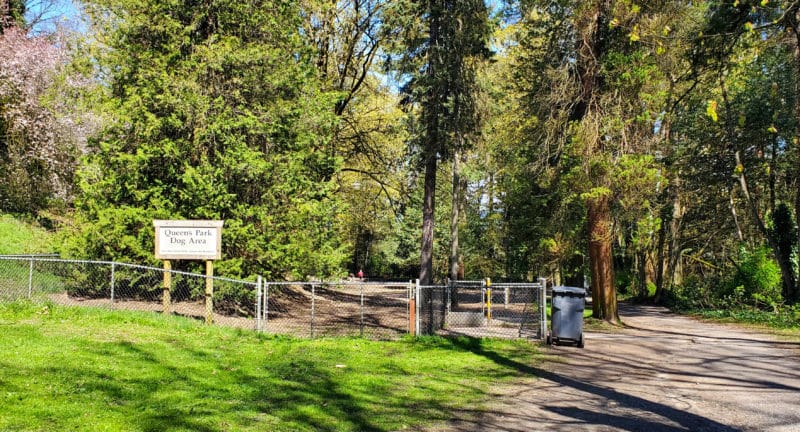 Queen’s Park (off-leash dog park), New Westminster, BC