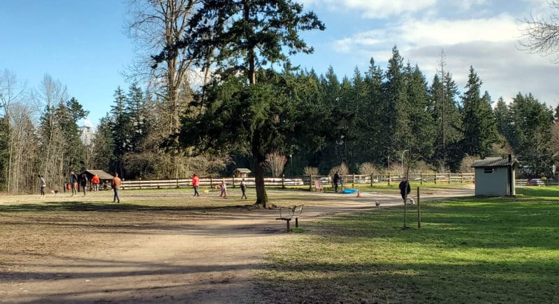Dogwood Park (off-leash dog park), Surrey, BC