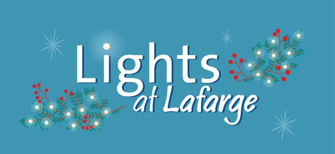 Lights at lafarge, dog-friendly christmas light display
