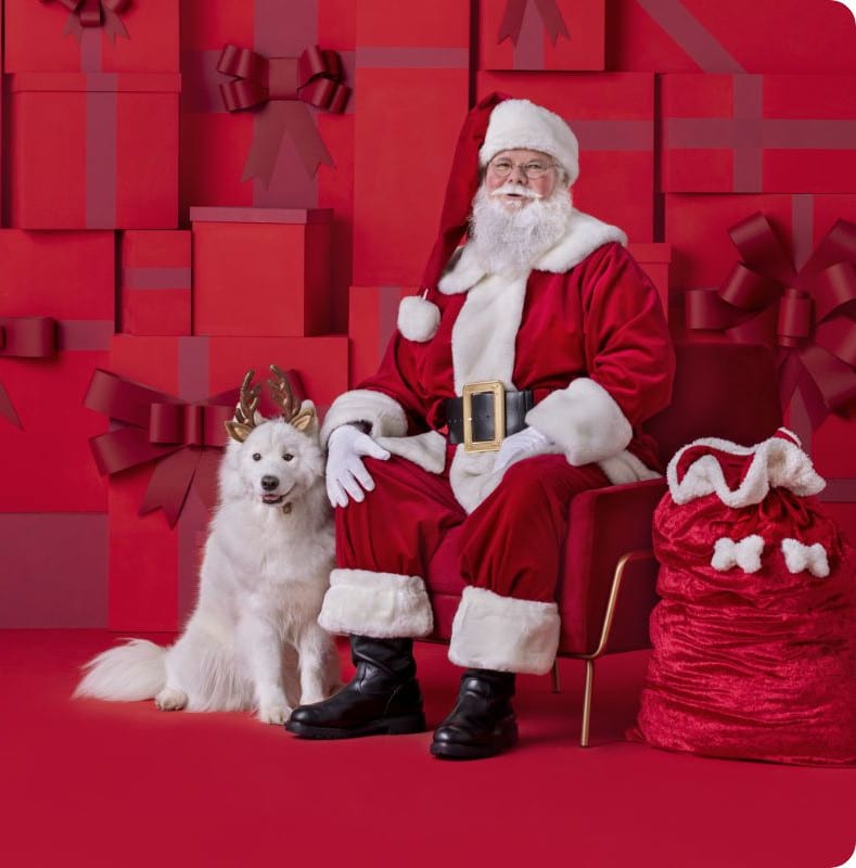 Petsmart dog photos with santa