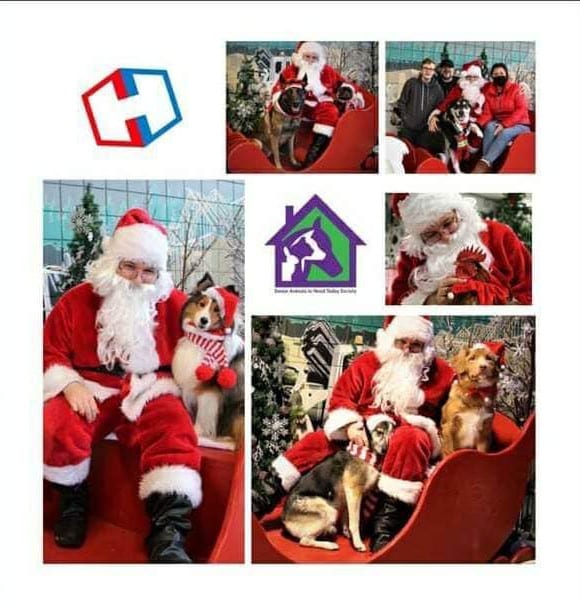 Saints animal rescue dog photos with santa