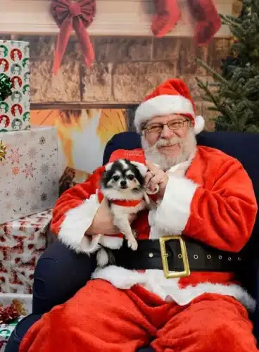 Dog photos with santa