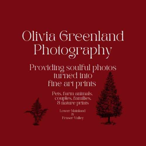 Olivia greenland photography, business logo