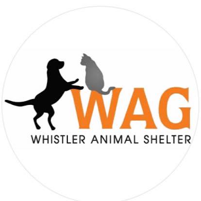 Whistler animals galore logo (a dog and a cat standing on the letters wag).