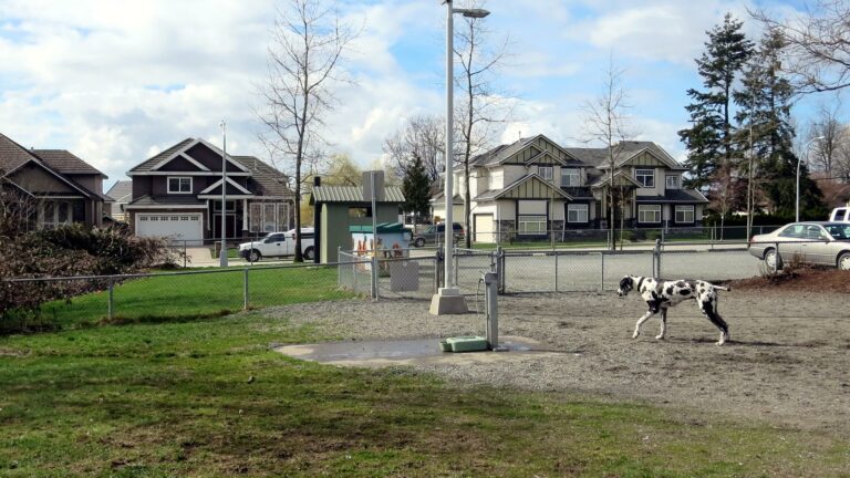 Freedom off leash dog park Surrey BC 768x432