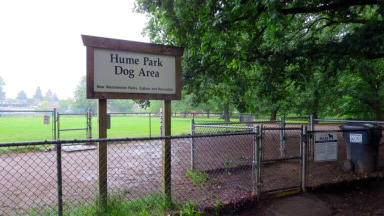 Hume Park off leash dog park New Westminster BC 15 768x432