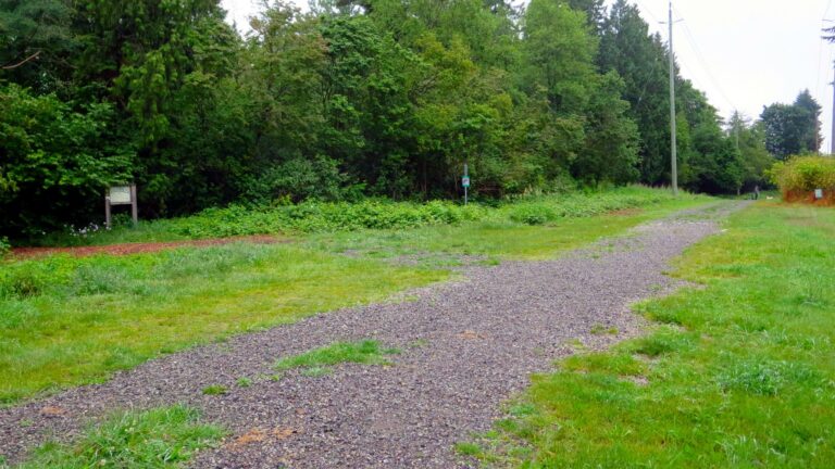 Malvern park off leash dog park burnaby bc 4 768x432