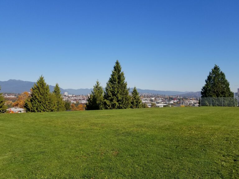 Sunrise Off leash Dog Park Vancouver BC 768x576