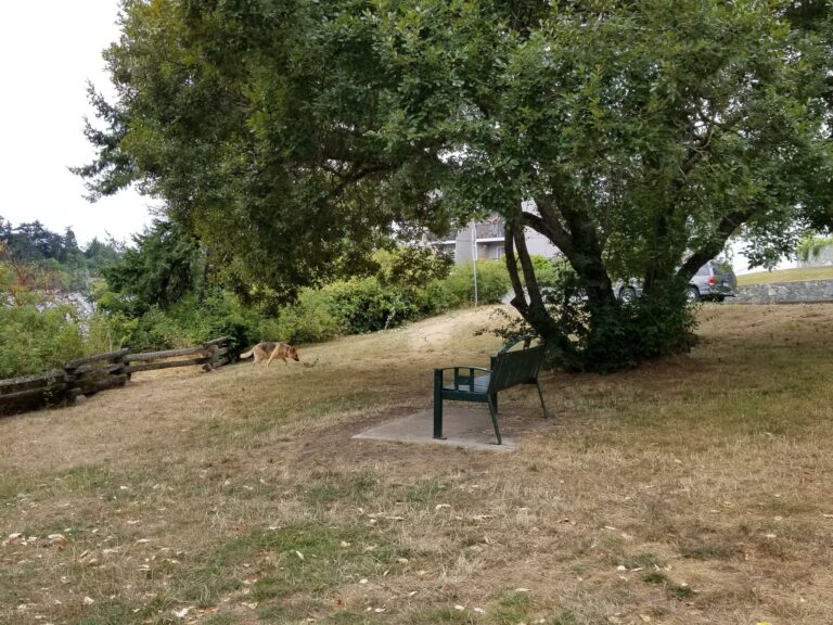 20170816 112543 1 768x576