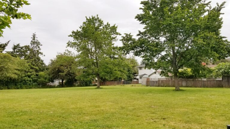 20180608 102753 768x432