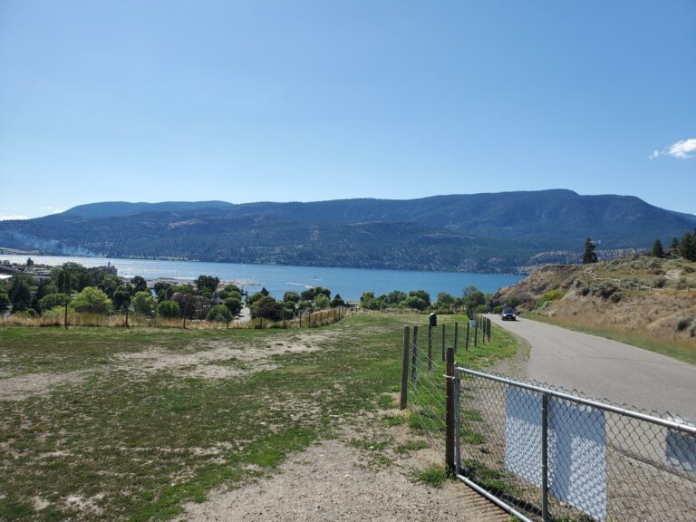 20190721 161540 20190721 161540 768x576