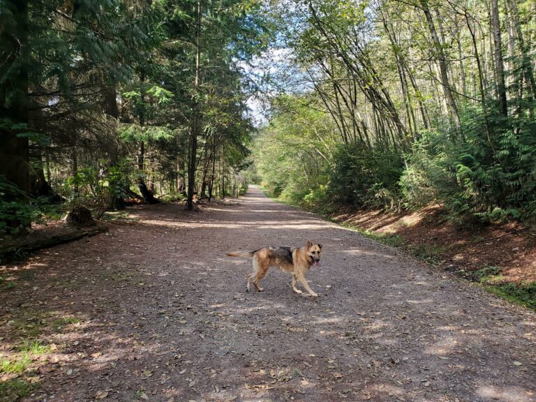 20190929 135658 768x576