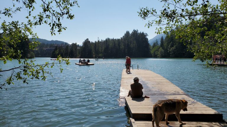 Alpha Lake Dog 1 768x432