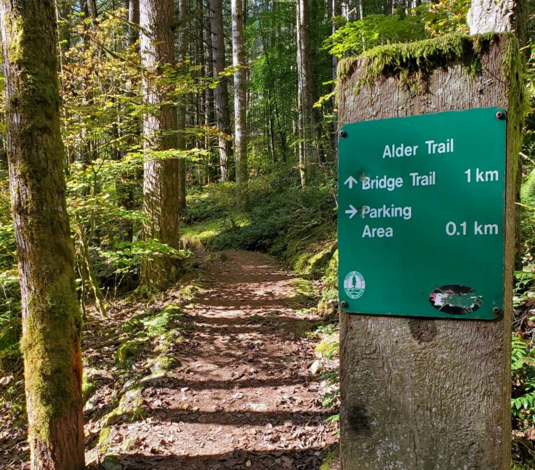 Brohm lake off leash hike 2 768x675
