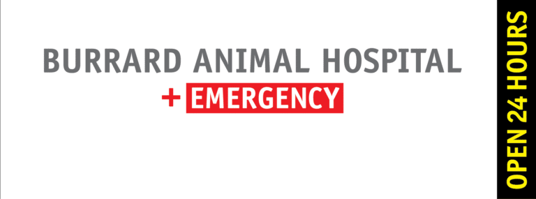 Burrard animal hospital 768x285