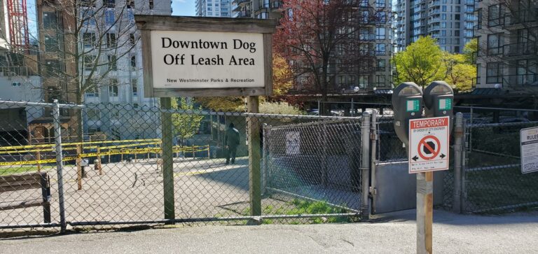 Downtown Dog Park New Westminster BC 2 768x363