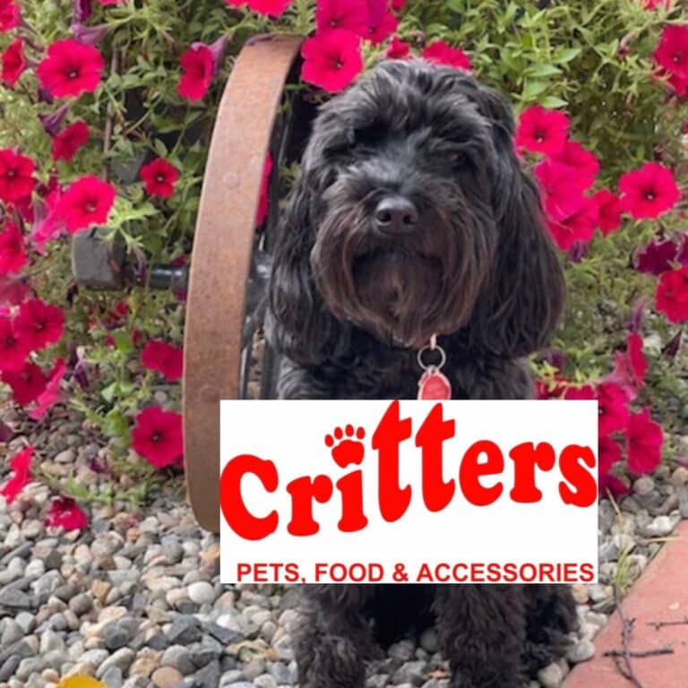 Eds critteres 768x768