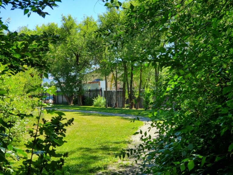 Enterprise Off Leash Dog Park Kelowna BC Featured 768x576