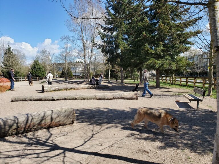 Garden City off leash dog park Richmond BC 768x576