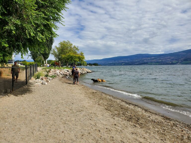 Gellately Dog Beach West Kelowna BC 768x576