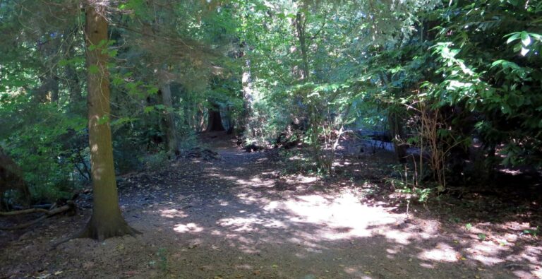 Hay Park Off Leash West Vancouver 13 768x395