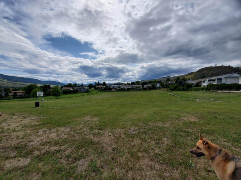 Heritage Park Off Leash Dog Park Vernon BC 4 768x576