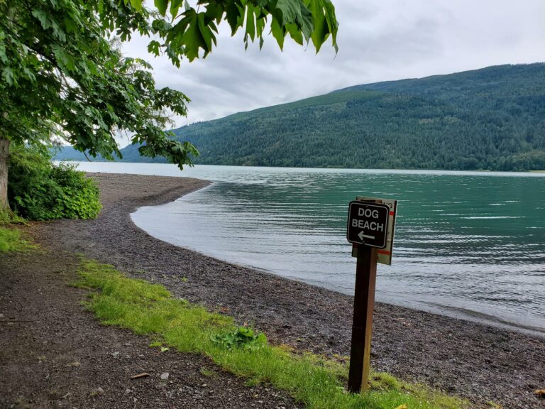Jade Bay Boat Launch Dog Beach Cultus Lake BC 6 768x576