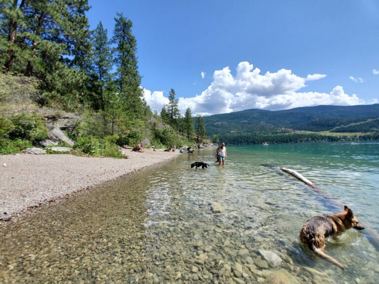 Kalamalka Lake Off Leash Dog Beach 768x576