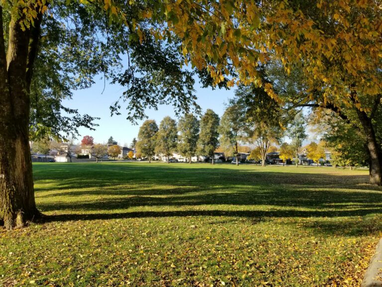 Killarney off leash dog park Vancouver BC 768x576