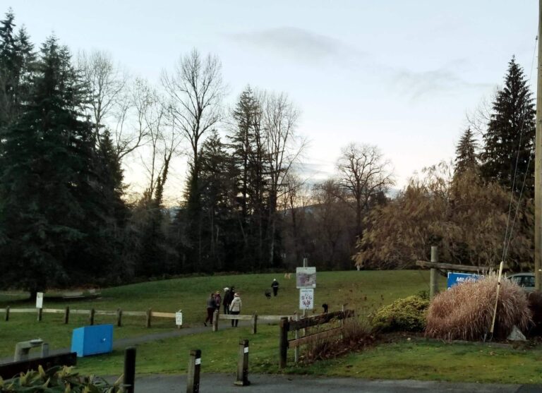 Miller Park Off Leash Dog Park Coquitlam BC features 768x557