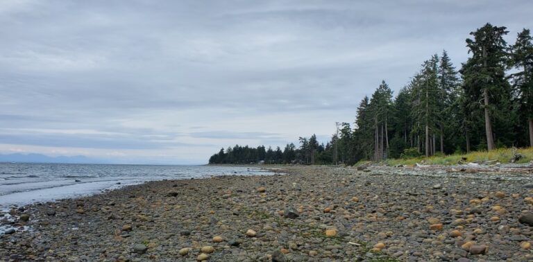 Miracle Beach Black Creek BC 3 768x378