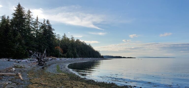 Miracle Beach Black Creek BC 5 768x356