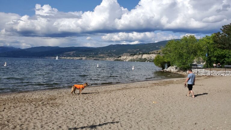 Okanagan Lake Off Leash Dog Park Penticton BC 4 1 768x432