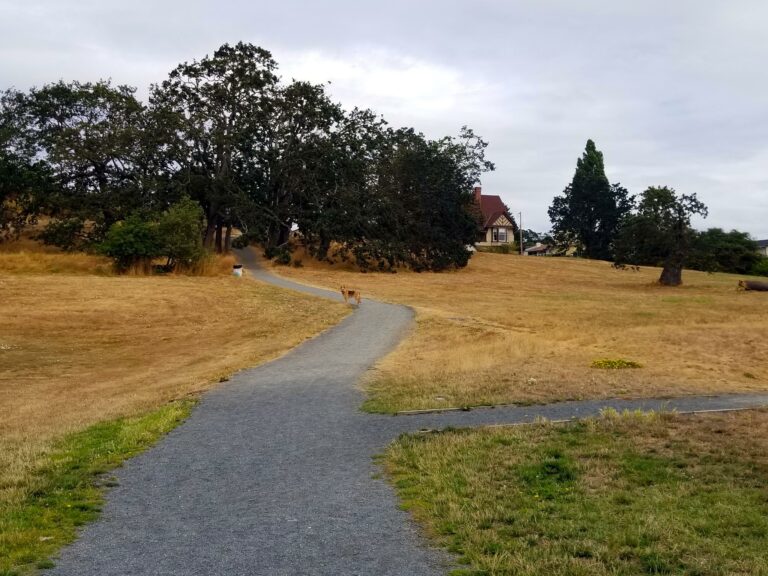 Oswalk Off leash Dog Park Victoria BC 768x576