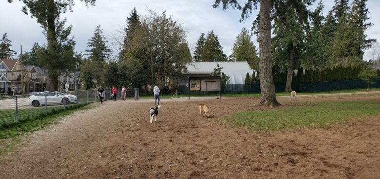 Panorama Park off leash dog park Surrey BC 7 768x363