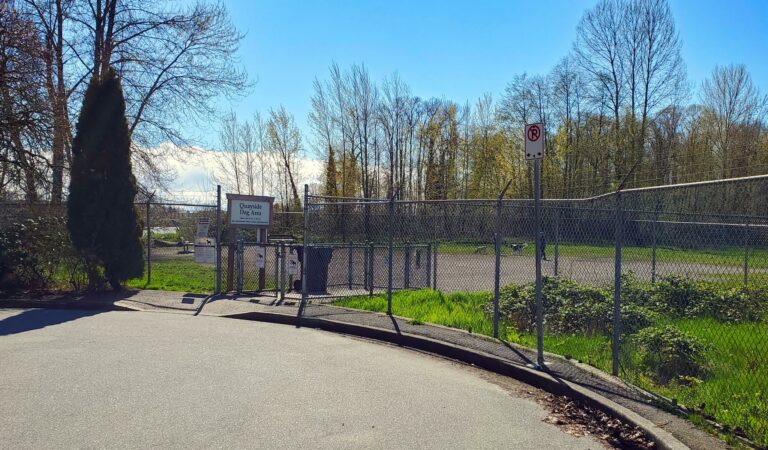 Quayside Off Leash Dog Park New Westminster BC 1 768x450