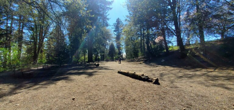 Queens Park off leash dog park New Westminster BC 768x364